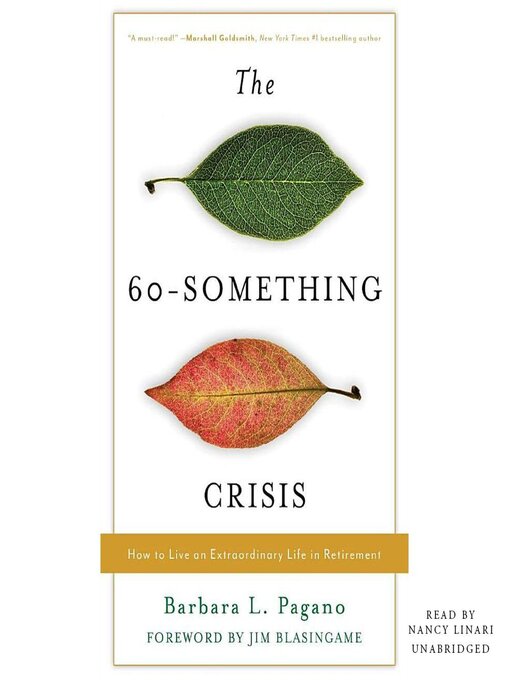 Cover image for The 60-Something Crisis